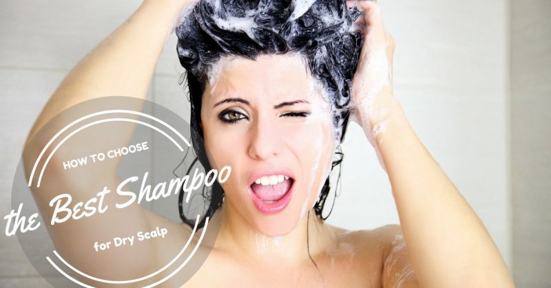 How-to-Choose-the-Best-Shampoo-for-Dry-Scalp