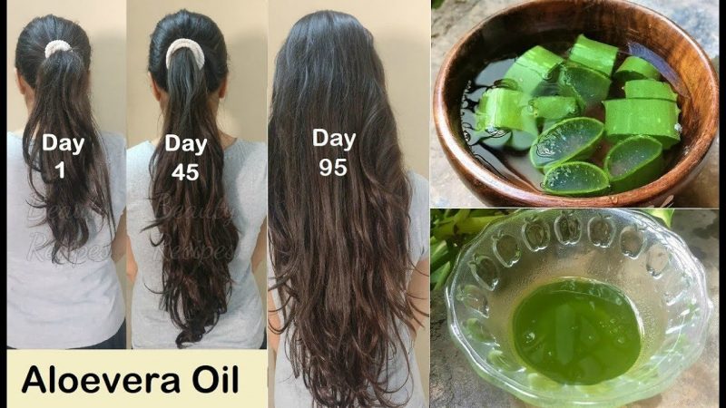 Aloe Vera-thick-hair