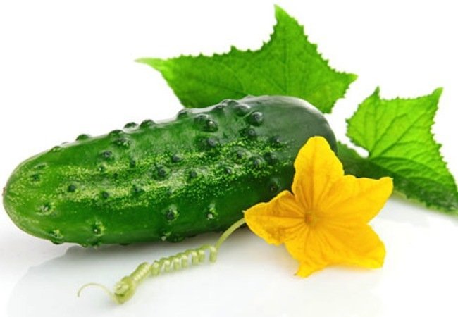 Cucumber