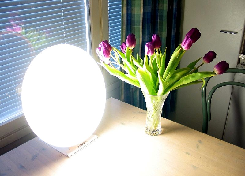 Bright Light Therapy lamp